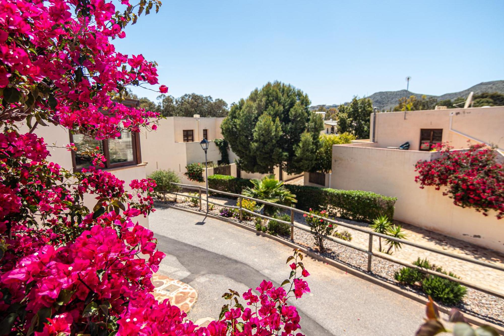 El Velero Sotillo La Jarana Piscina Parking Wifi San José Dış mekan fotoğraf